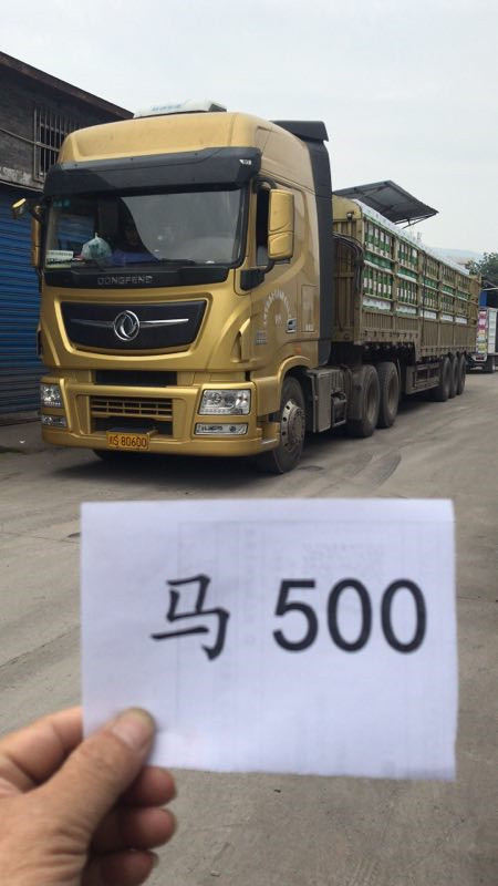 車輛展示